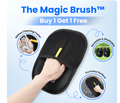 The Magic Brush