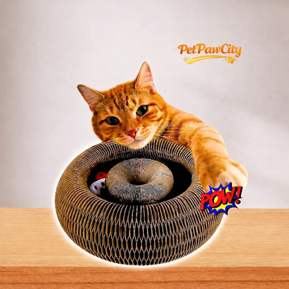 Cat Kitty Kurlz