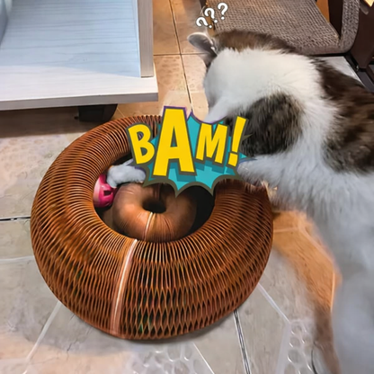 Cat Kitty Kurlz