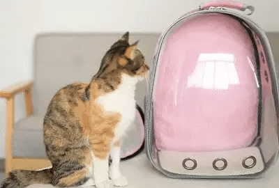 Breathable Pet Carrier Backpack