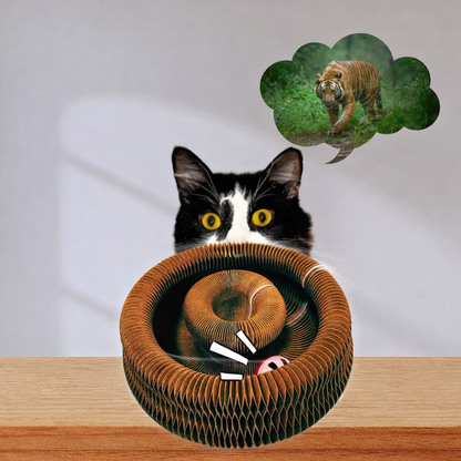 Cat Kitty Kurlz