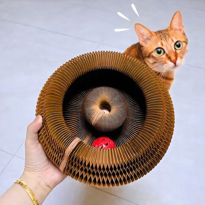 Cat Kitty Kurlz